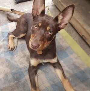 Meet your Posher, Sally